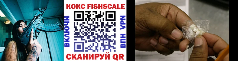 COCAIN Fish Scale  Купить закладки  Богданович 