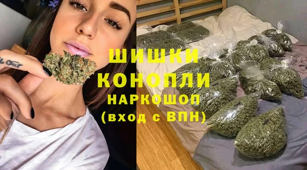 спайс Кулебаки