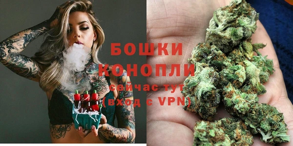 спайс Кулебаки
