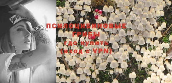 хмурый Кукмор