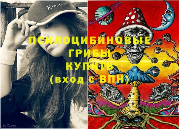 спайс Кулебаки