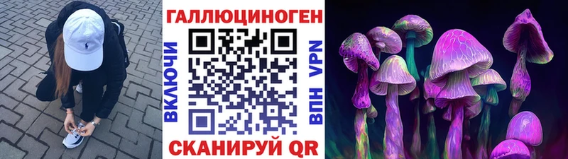 Галлюциногенные грибы Psilocybine cubensis Богданович