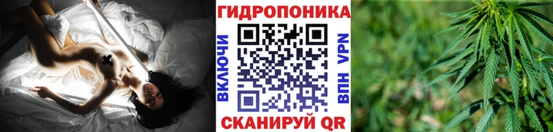 Купить где  Богданович  Канабис гибрид 